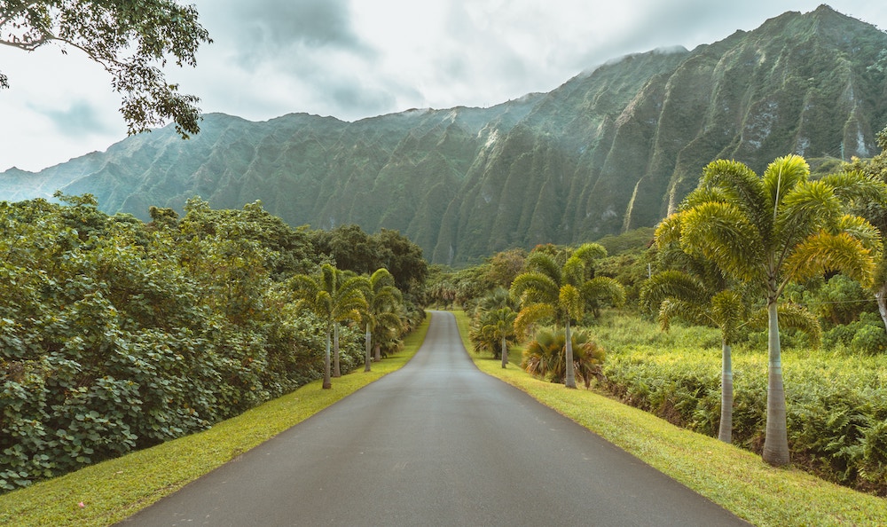 Road leading into botanical gardens